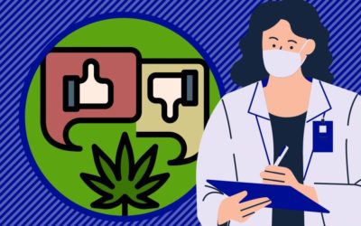 Le projet de loi covid-19 menace l’expérimentation de cannabis thérapeutique