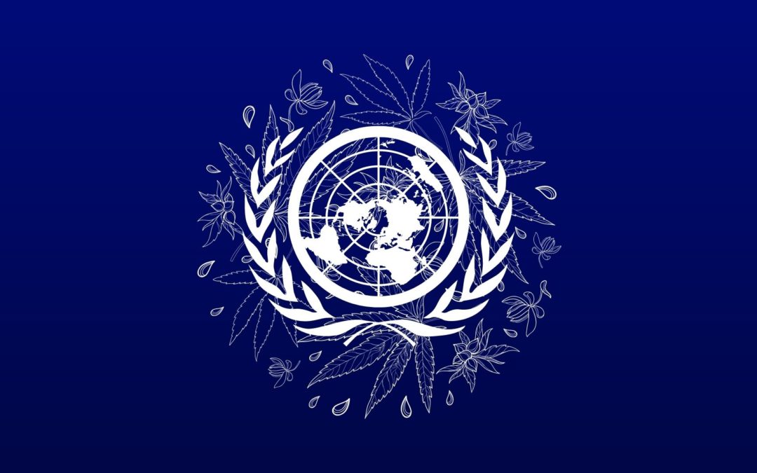 Nouvelle classification du cannabis : le service minimum de la Commission des stupéfiants de l’ONU